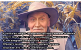 1697134146647.png