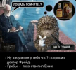 1697134332599.png