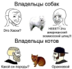 1697212038758.png