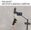 1697212945396.png