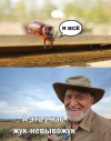 1697475892578.png