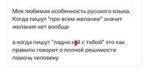 1697795775581.jpeg