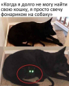 1697810012726.png