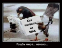 1697969832219.png
