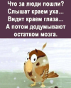 1697992217500.png