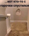 1698262471366.png