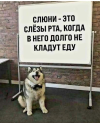 1698418542957.png