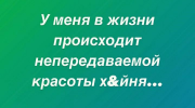 1698850997820.png