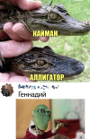 1698858506086.png