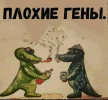 1698858788143.png
