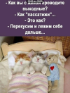 1699079739131.png