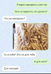 1699119087480.png