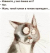 1699249177513.png