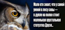 1699261875017.png