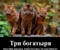 1699278776761.png