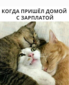 1699374783387.png