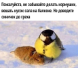 1699375421310.png