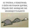 1699376445087.png