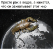 1699458816144.png