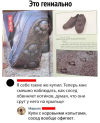 1699459499303.png