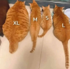 1699546910755.png