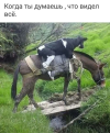 1699548201673.png