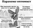 1699952977102.png