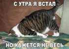 1699953059895.png