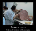 1699978636866.png