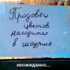 1700150144729.png