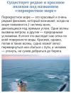 1700209079270.png
