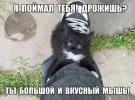 1700381941609.png