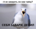 1700632818511.png