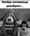 1700728722434.png