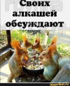 1700755900002.png