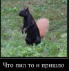 1700755929720.png