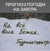 1700806663570.png