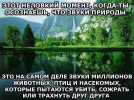1700812384025.png