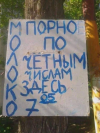 1700838848289.png
