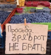 1700920624701.png