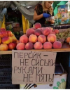 1700920706324.png