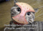 1700922024927.png
