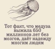 1701099907581.png