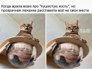 1701188457505.png