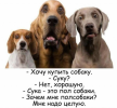 1701360397222.png