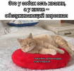 1701361110023.png
