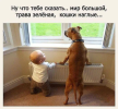 1701361275073.png