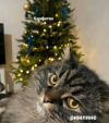 1701373933520.png