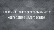 1701373984101.png