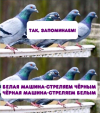 1701456518107.png